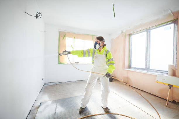 Best Emergency Mold Remediation  in Kosciusko, MS