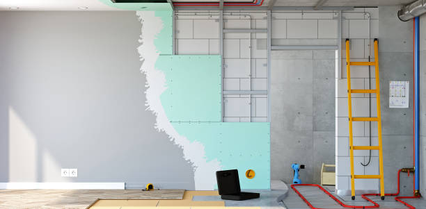 Best Commercial Mold Inspection  in Kosciusko, MS
