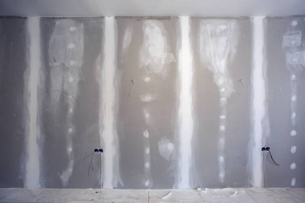 Best Mold Documentation for Insurance Claims  in Kosciusko, MS